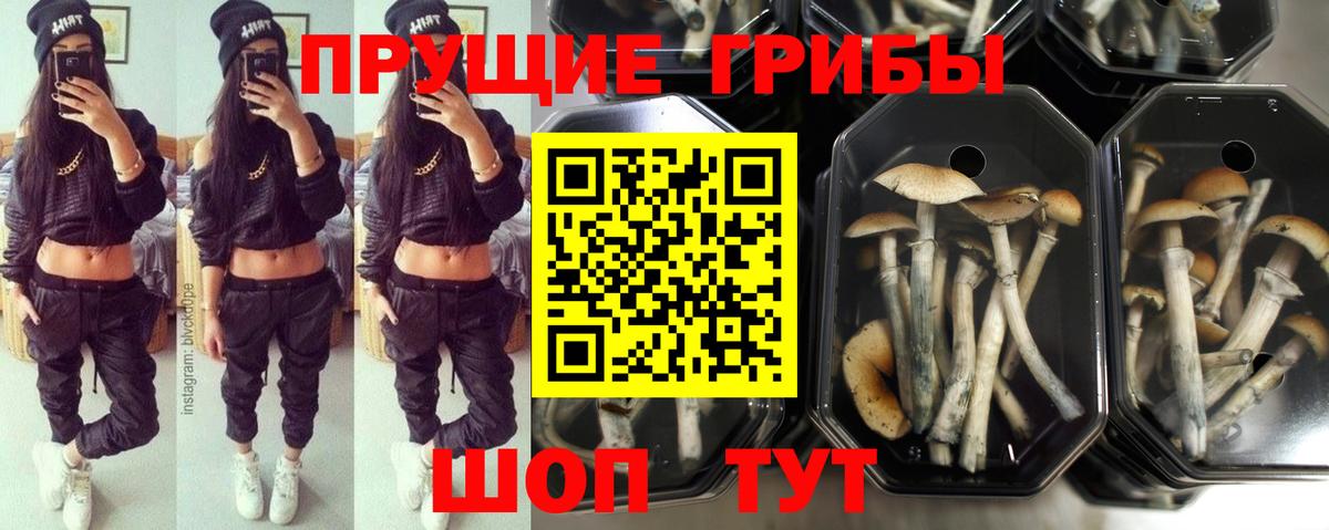 Псилоцибиновые грибы ЛСД Похвистнево